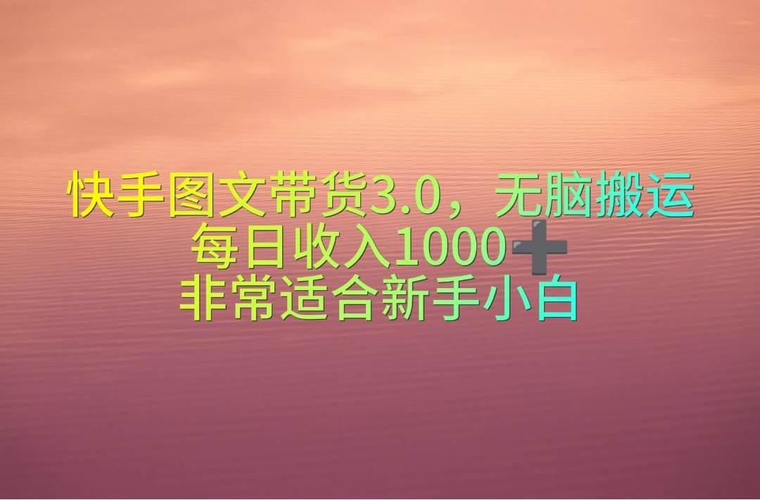 快手图文带货3.0，无脑搬运，每日收入1000＋，非常适合新手小白-一辉