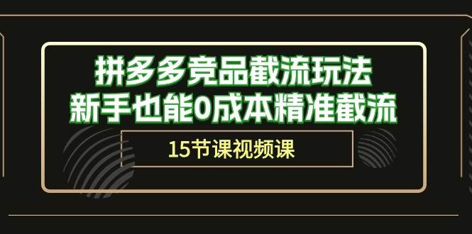 拼多多竞品截流玩法，新手也能0成本精准截流（15节课）-一辉