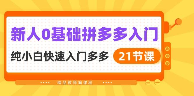 新人0基础拼多多入门，纯小白快速入门多多（21节课）-一辉