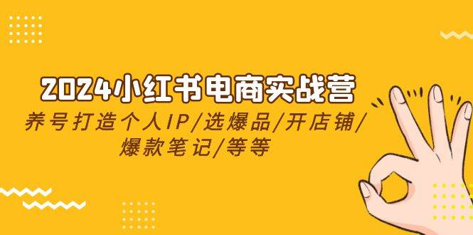 2024小红书电商实战营，养号打造IP/选爆品/开店铺/爆款笔记/等等（24节）-一辉