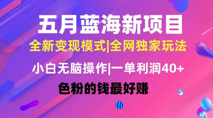 五月蓝海项目全新玩法，小白无脑操作，一天几分钟，矩阵操作，月入4万+-一辉