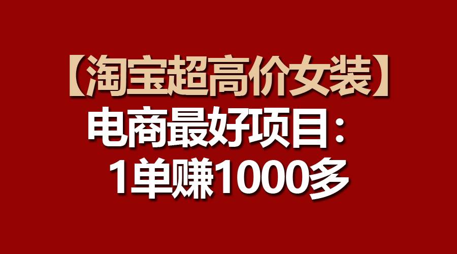 【淘宝超高价女装】电商最好项目：一单赚1000多-一辉