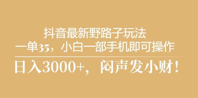 抖音最新野路子玩法，一单35，小白一部手机即可操作，，日入3000+，闷…-一辉