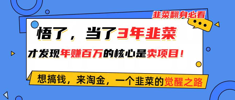 悟了，当了3年韭菜，才发现网赚圈年赚100万的核心是卖项目，含泪分享！-一辉