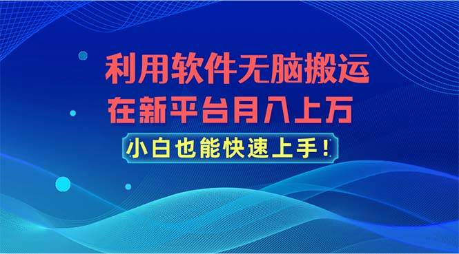 利用软件无脑搬运，在新平台月入上万，小白也能快速上手-一辉