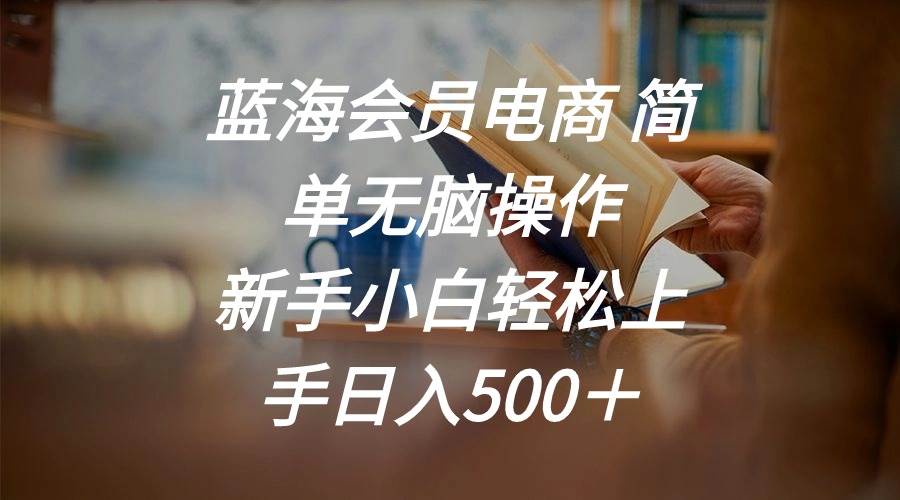 蓝海会员电商 简单无脑操作 新手小白轻松上手日入500＋-一辉