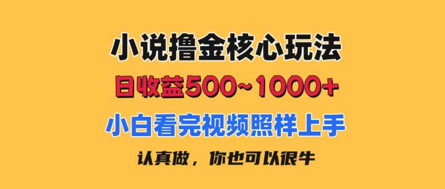 小说撸金核心玩法，日收益500-1000+，小白看完照样上手，0成本有手就行-一辉