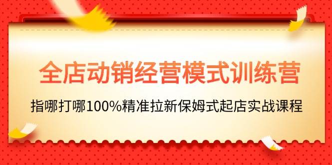 全店动销-经营模式训练营，指哪打哪100%精准拉新保姆式起店实战课程-一辉