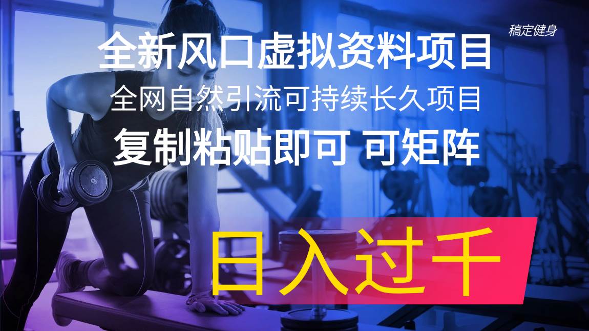 全新风口虚拟资料项目 全网自然引流可持续长久项目 复制粘贴即可可矩阵…-一辉