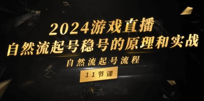 2024游戏直播-自然流起号稳号的原理和实战，自然流起号流程（11节）-一辉