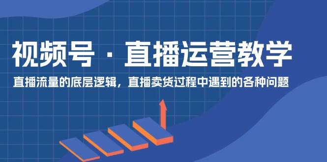 视频号 直播运营教学：直播流量的底层逻辑，直播卖货过程中遇到的各种问题-一辉