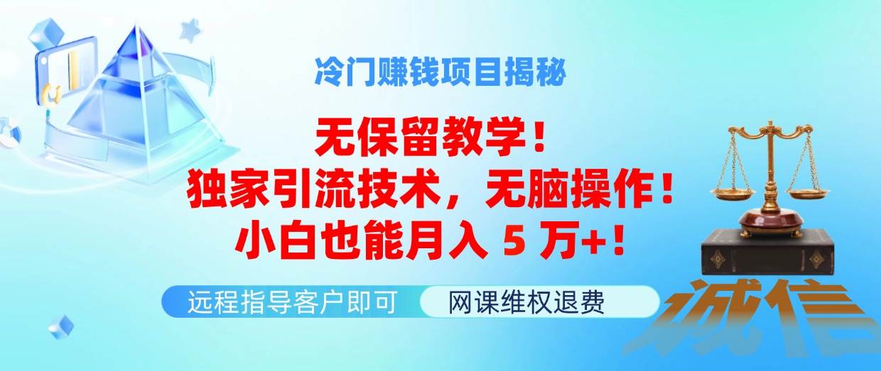 冷门赚钱项目无保留教学！独家引流技术，无脑操作！小白也能月入5万+！-一辉