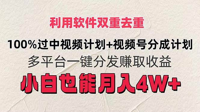 利用软件双重去重，100%过中视频+视频号分成计划小白也可以月入4W+-一辉