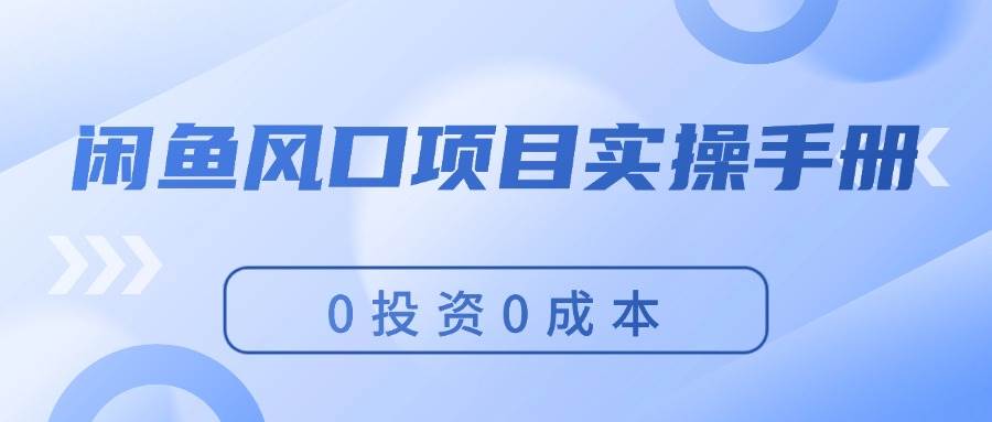 闲鱼风口项目实操手册，0投资0成本，让你做到，月入过万，新手可做-一辉