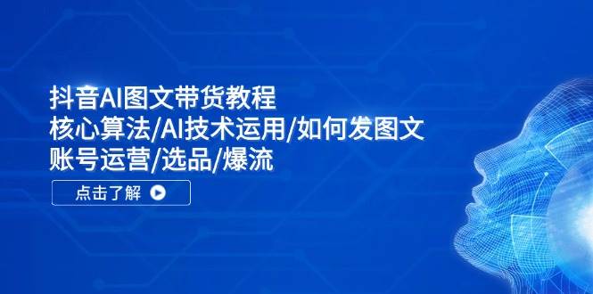 抖音AI图文带货教程：核心算法/AI技术运用/如何发图文/账号运营/选品/爆流-一辉