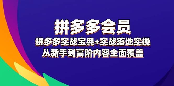 拼多多 会员，拼多多实战宝典+实战落地实操，从新手到高阶内容全面覆盖-一辉